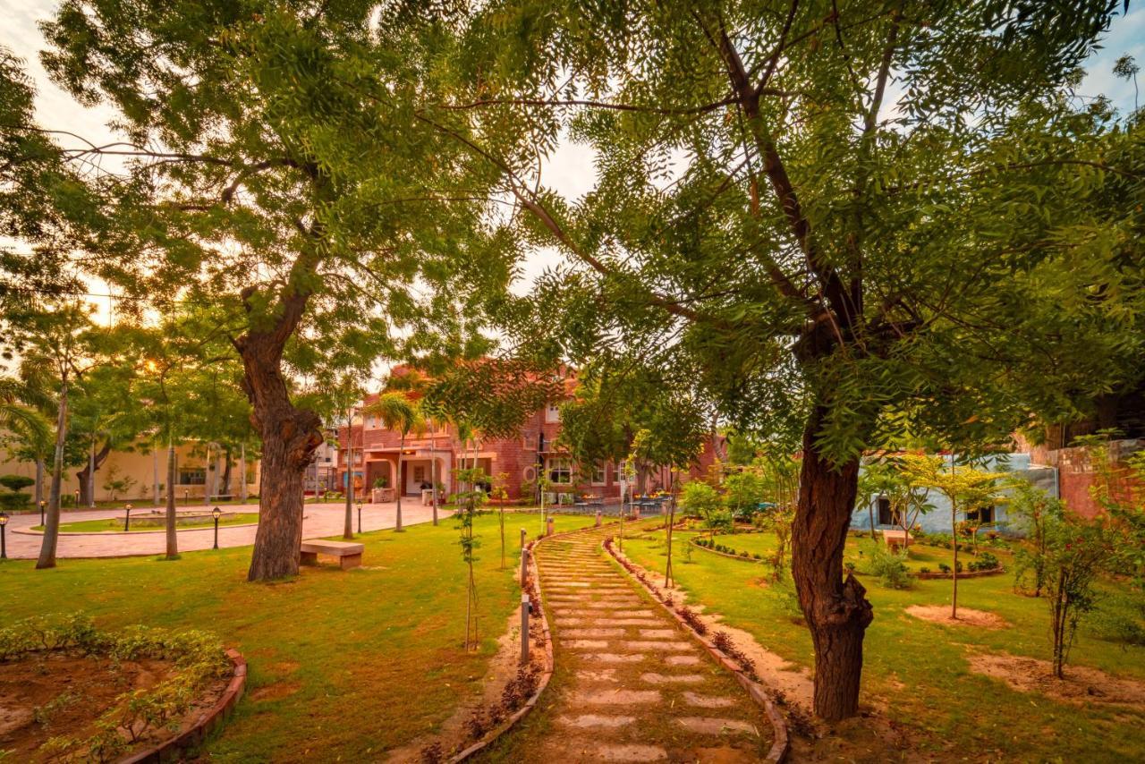 Tree Of Life Bhadrajun House, Jodhpur Hotel Jodhpur  Bagian luar foto